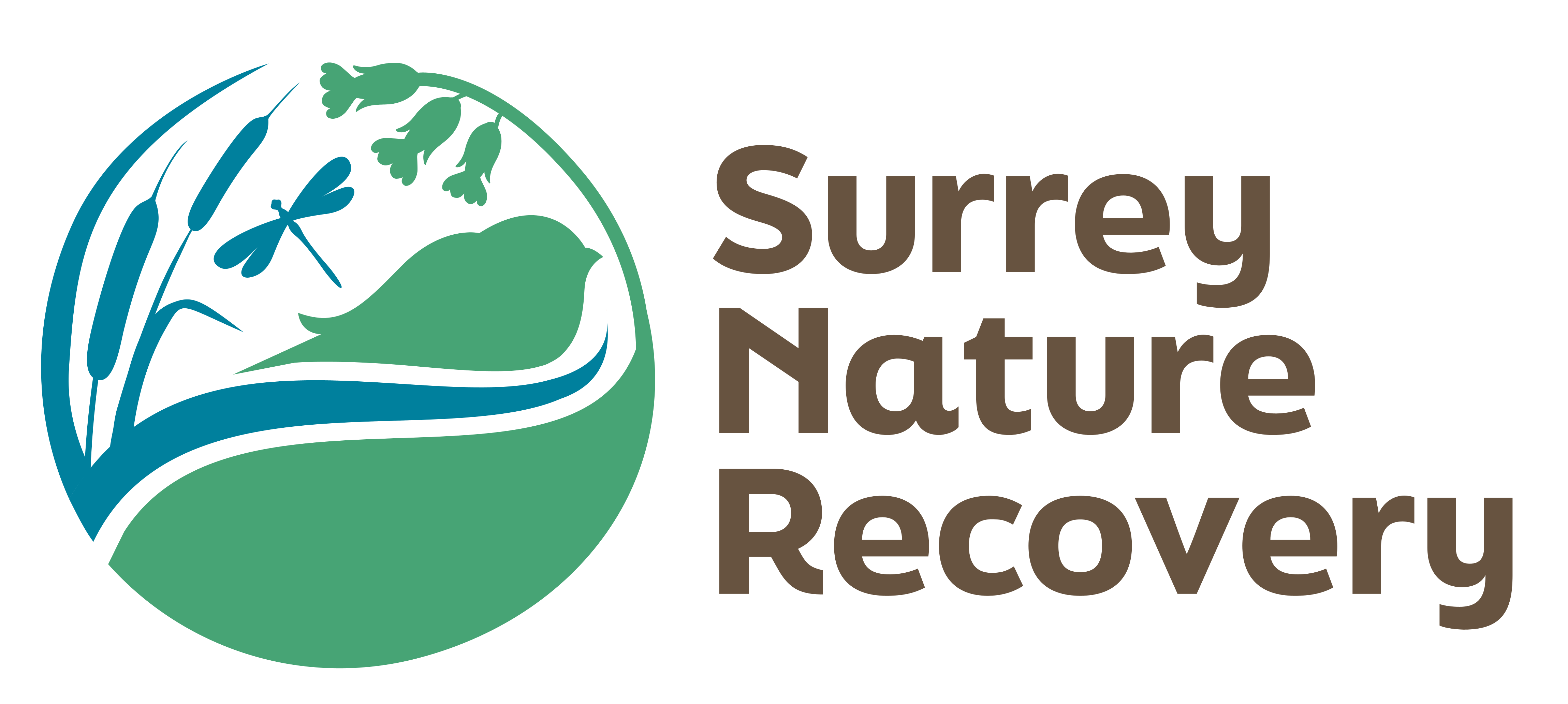 Surrey Nature Recovery Strategy